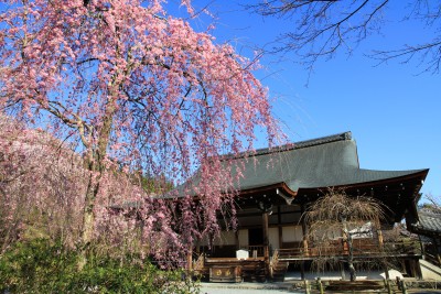 Japanese gardens